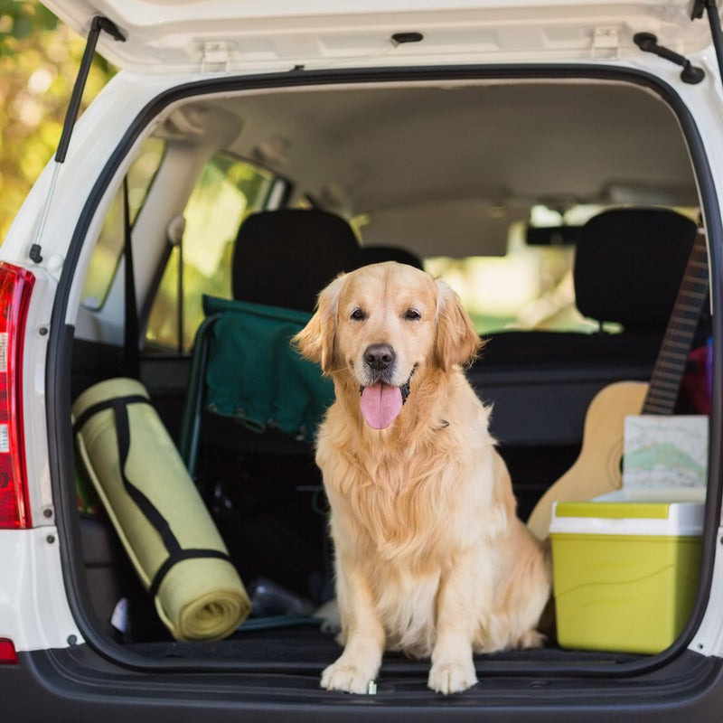 PETMAKER Cargo Liner Dog Seat Cover- Quilted Waterproof All Weather Non-Slip Pet Travel Mat with Side Coverage and Bumper Flap Protector for SUVs, Black - Image 4